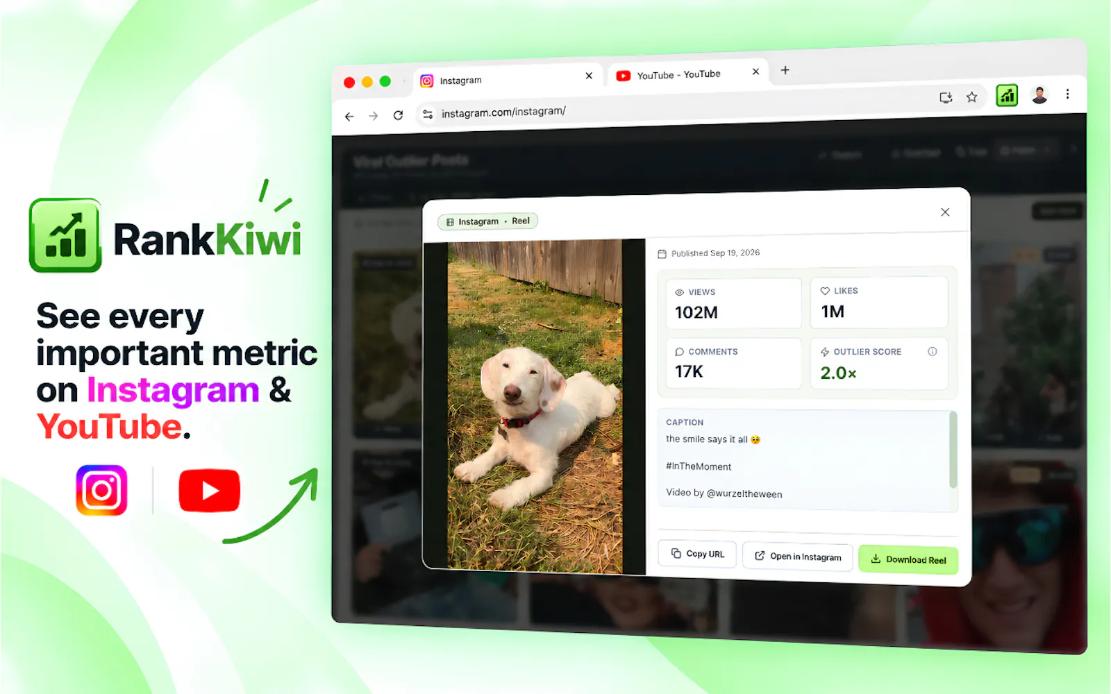 Rank Kiwi screenshot 5
