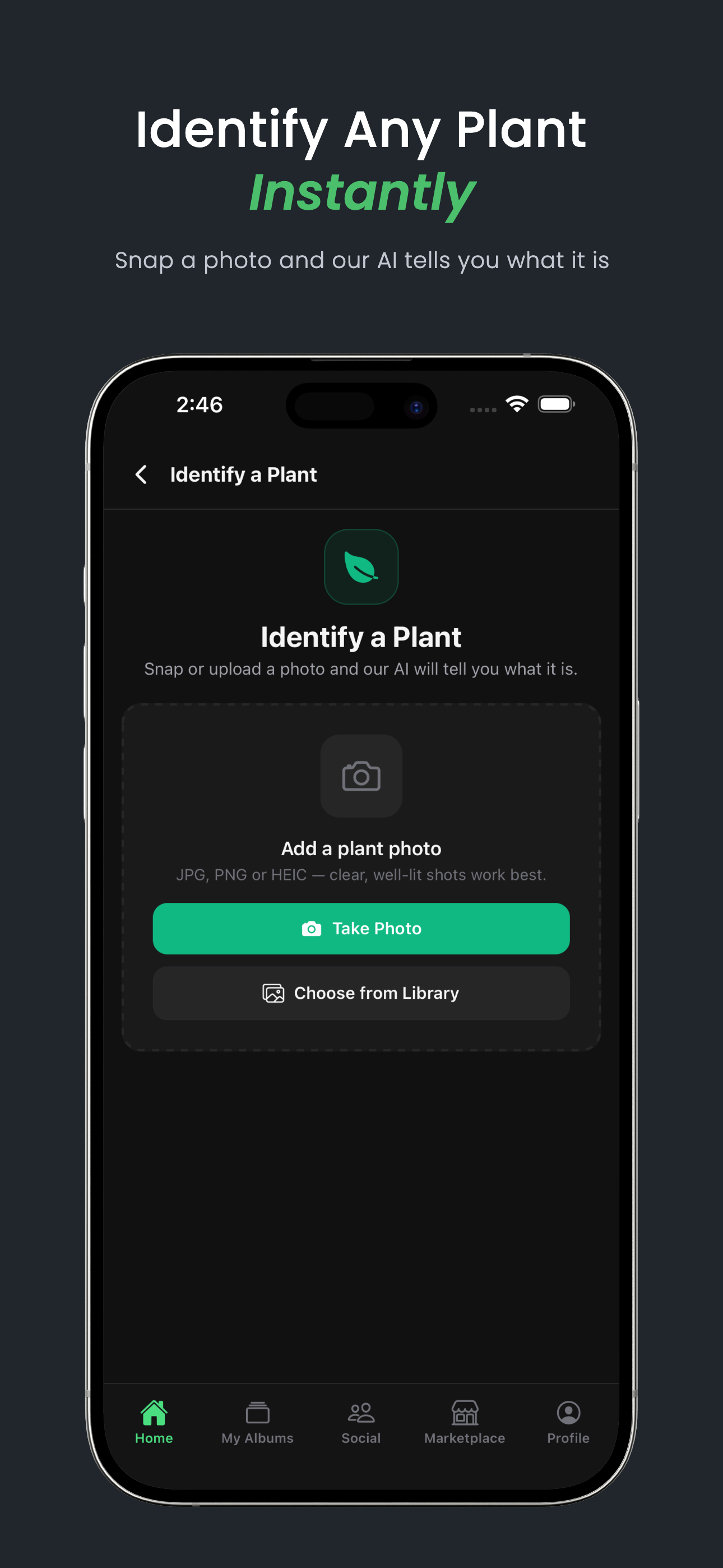 MyFloralVault gallery image