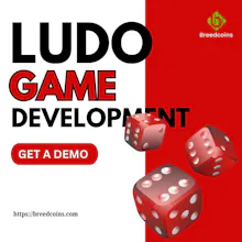 Ludo Game Development Company gallery image