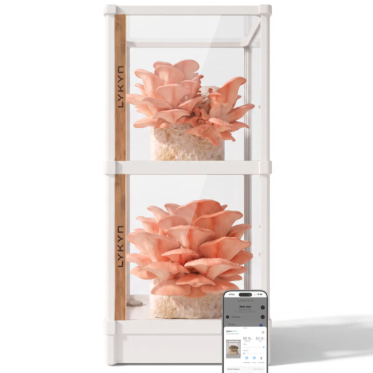 Lykyn Smart Mushroom Grow Box gallery image