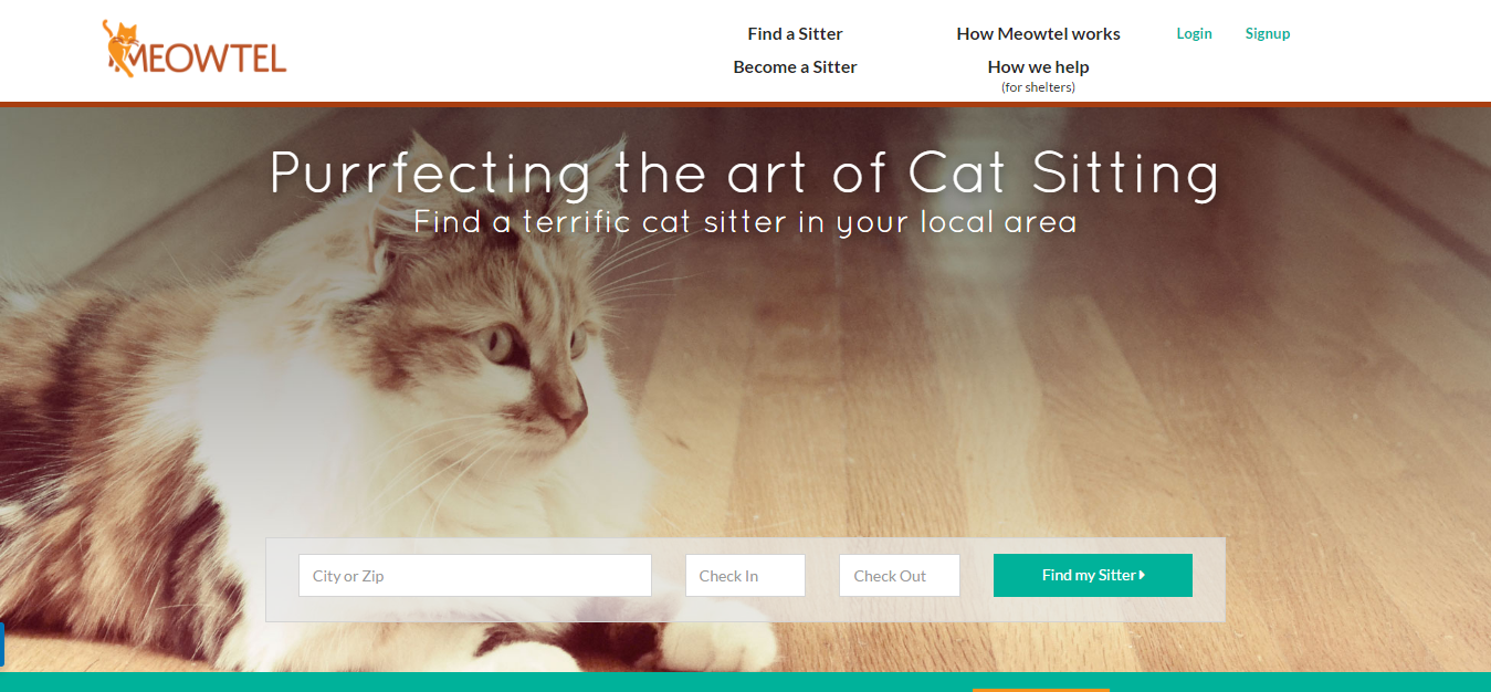 Meowtel gallery image