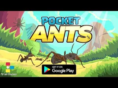 Pocket Ants gallery image