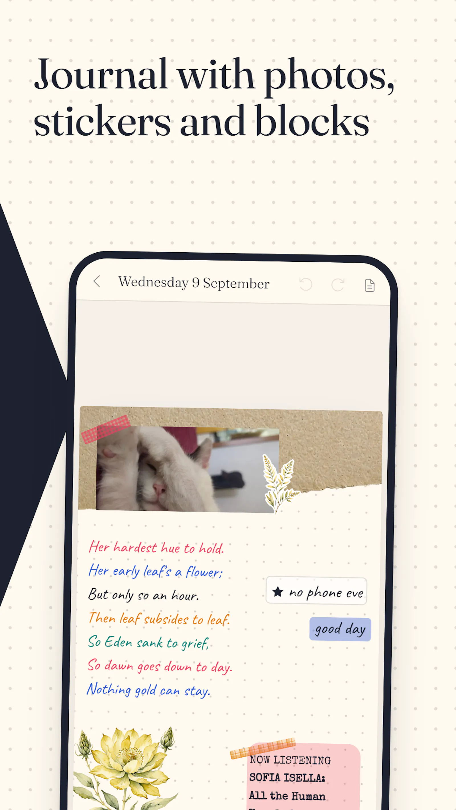 Planye screenshot 6