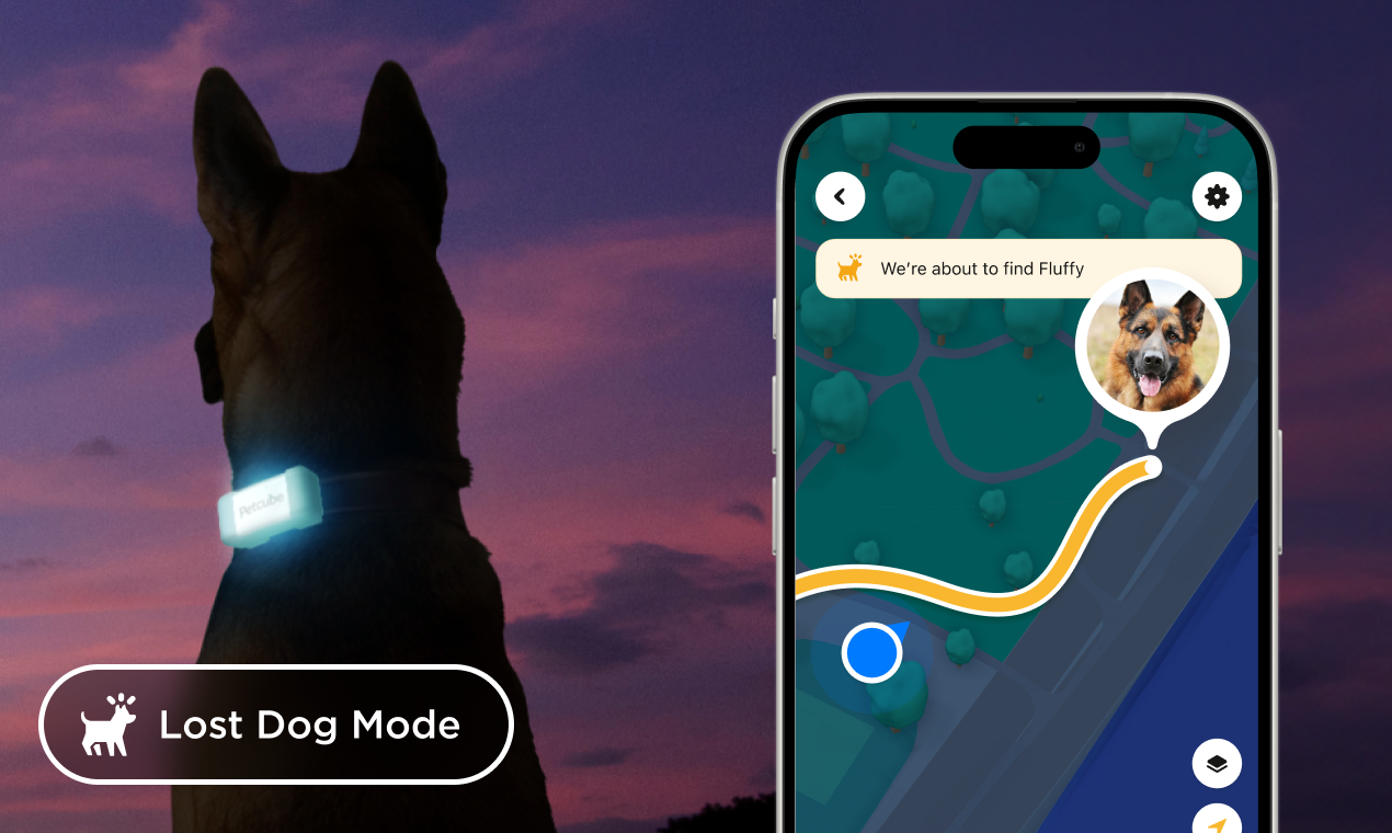 Petcube GPS Tracker - Live Location отслеживает интеллектуальную активность для собак медиа 4