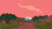 Proteus