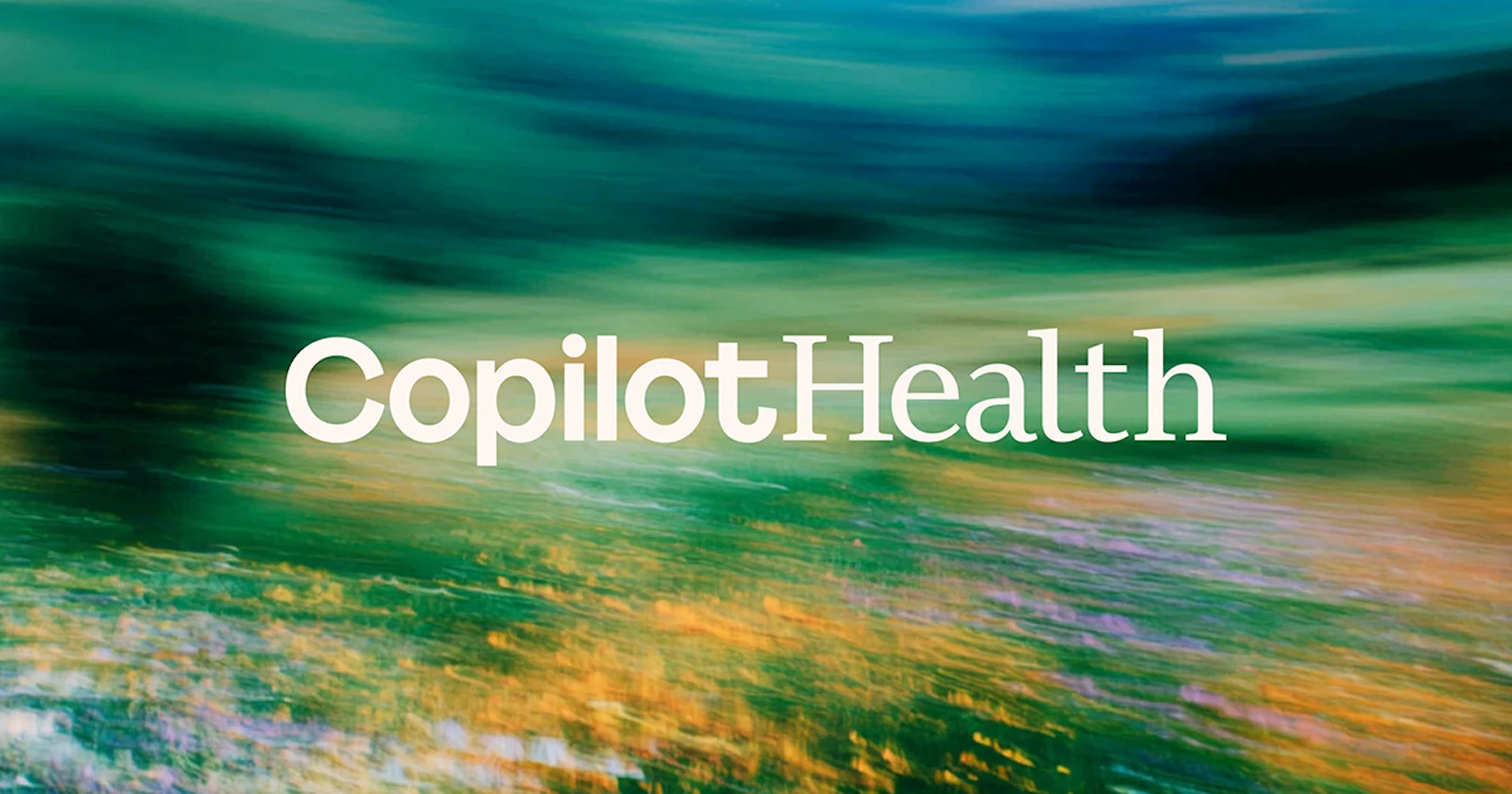 Microsoft Copilot Health screenshot 2