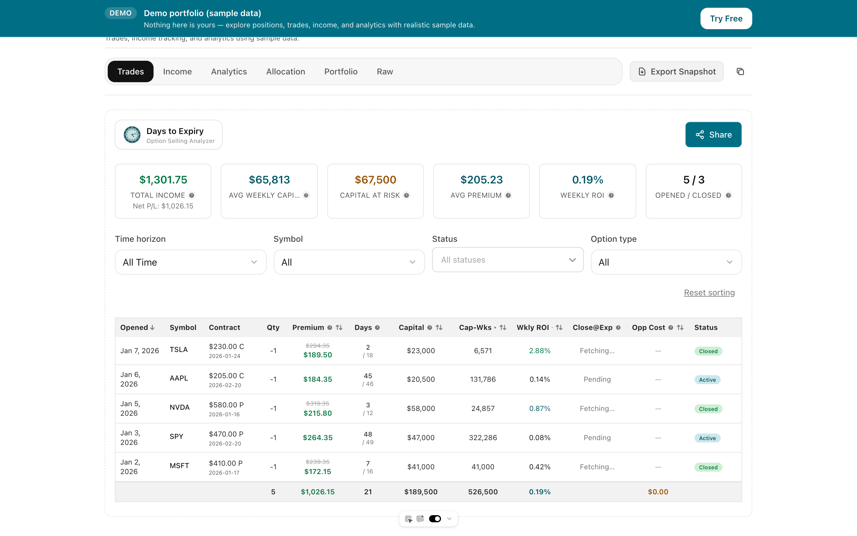 Days to Expiry — Option Selling Analyzer - Screenshot 5 showing product features and functionality