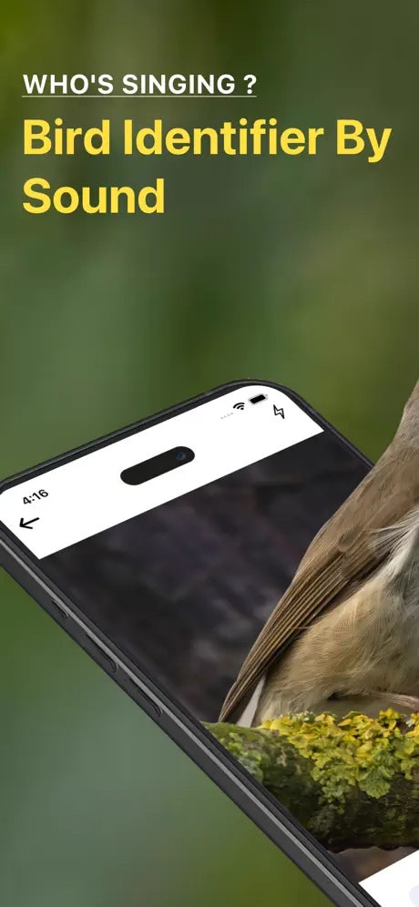 Media Id panggilan pengenal suara burung - Apa burung yang baru anda lihat?Aplikasi ini tahu! 2