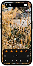 Obscura 4 - Pro Camera gallery image