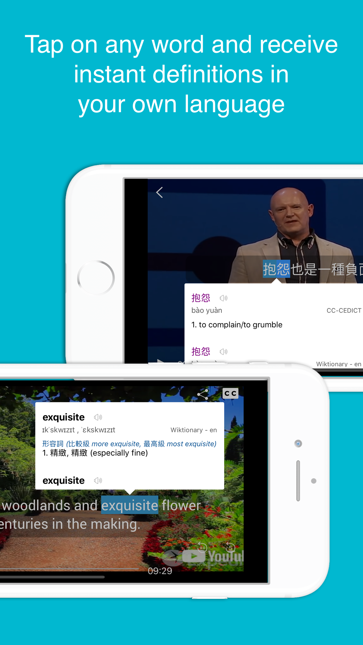 Woodpecker - Language Learning gallery image