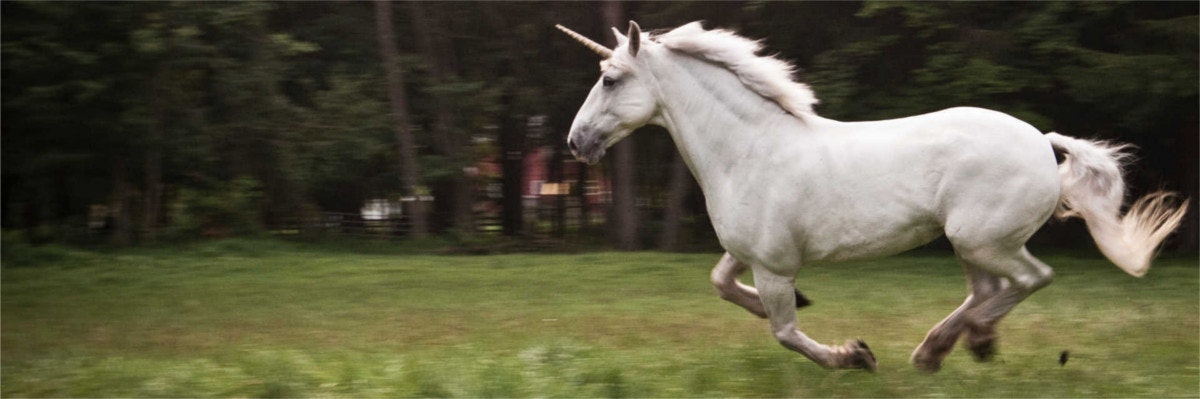 KPI Radar gallery image