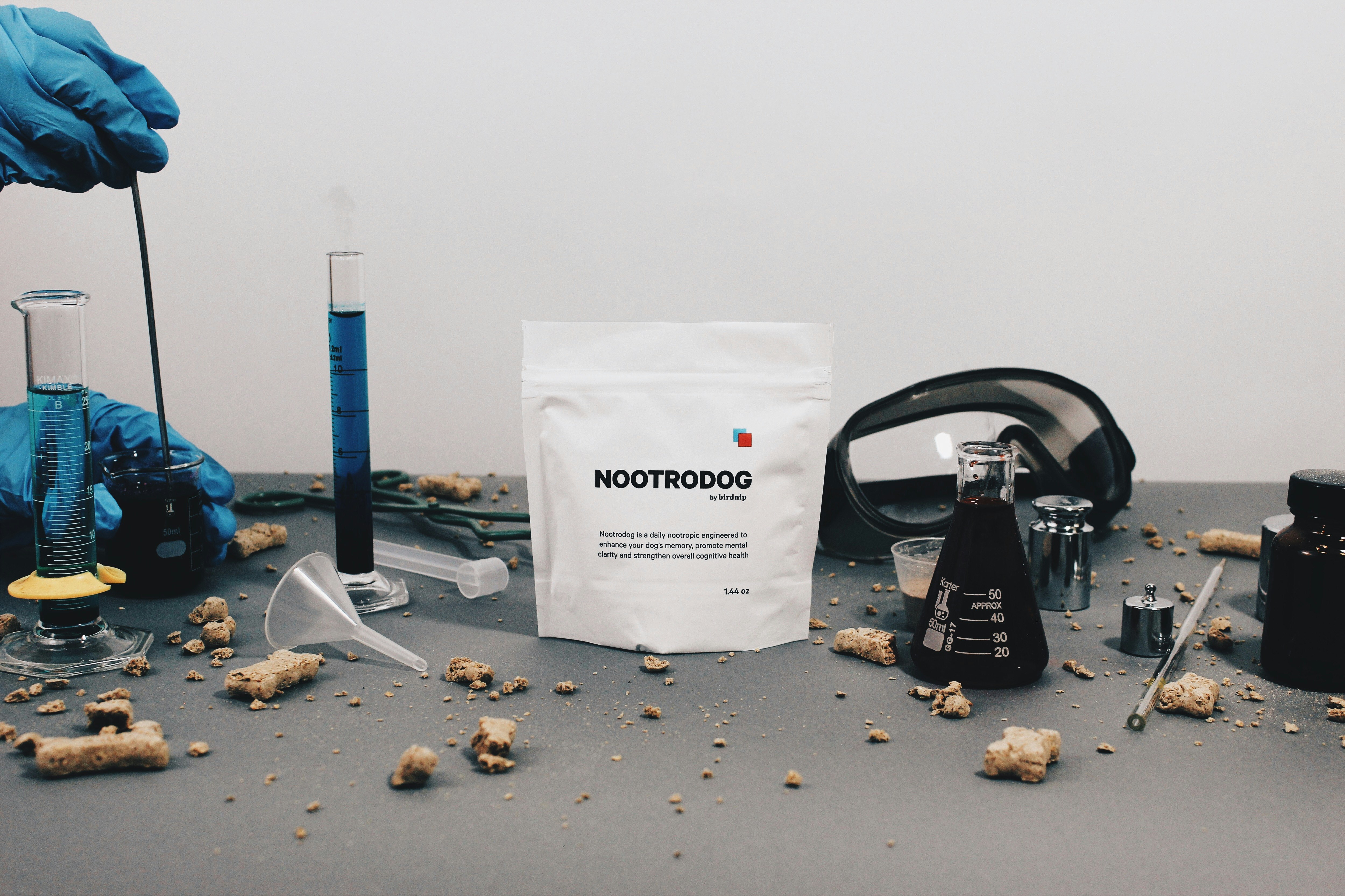 Nootrodog by Birdnip gallery image