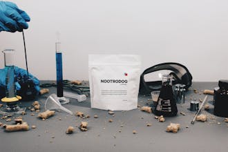 Nootrodog by Birdnip gallery image