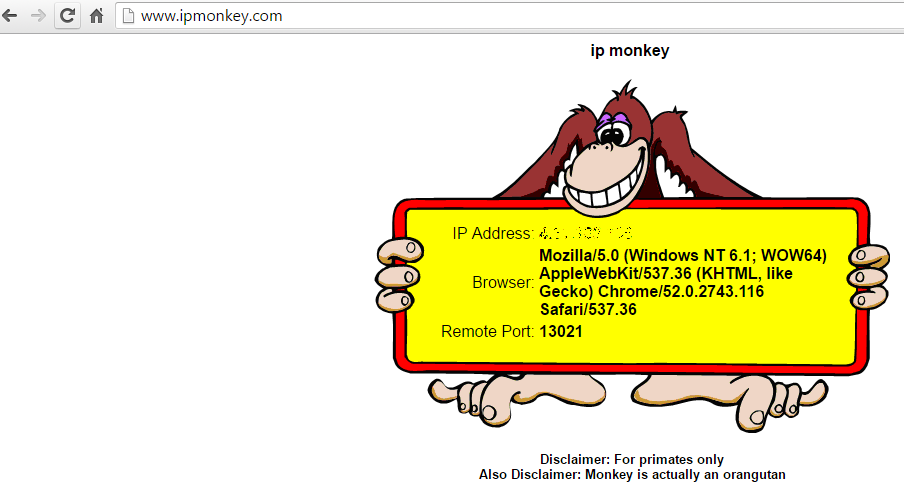 IP Monkey gallery image