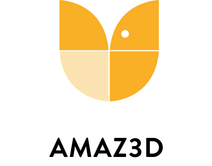AMAZ3D