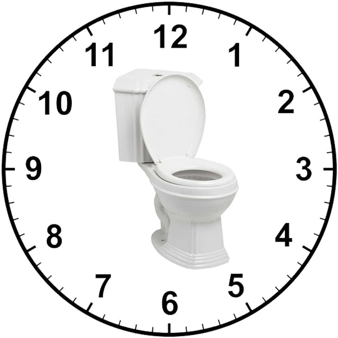 Perfect Toilet Time