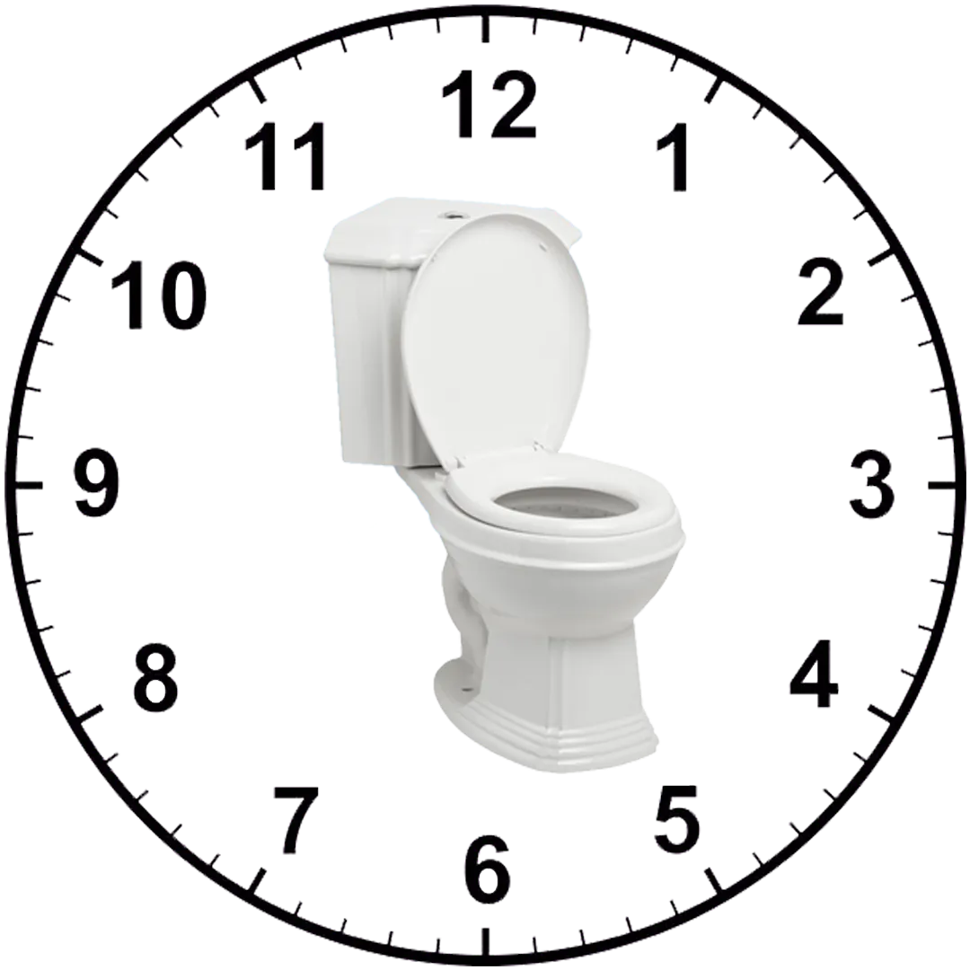 Perfect Toilet Time