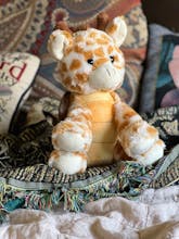 Girtle the Giraffe/Turtle mix gallery image