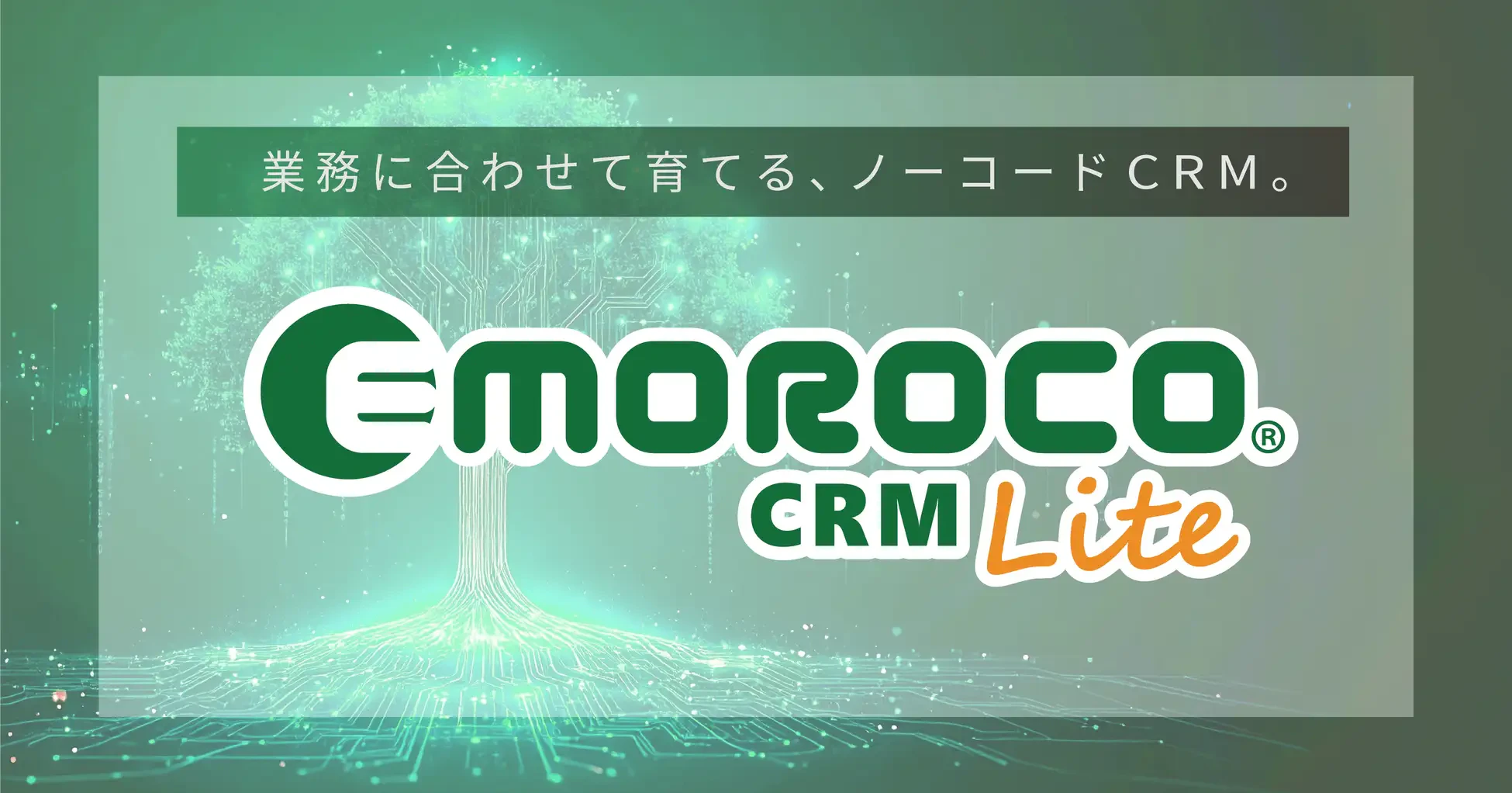 EMOROCO CRM Lite–Simple & Affordable CRM