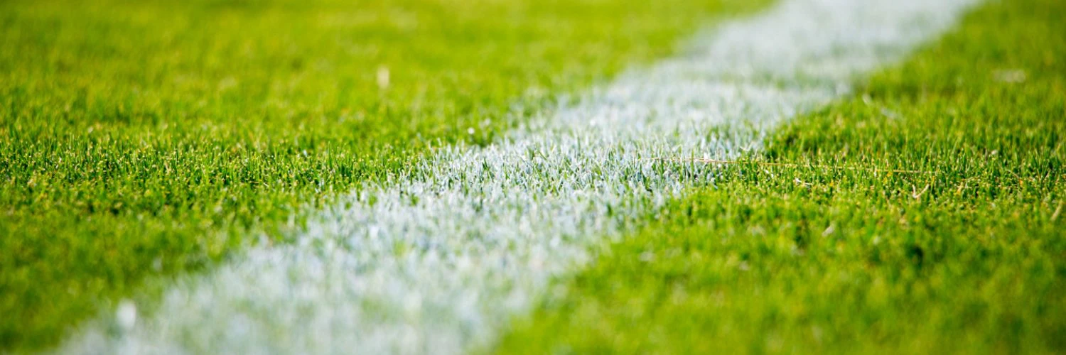 Neil S W Murray cover