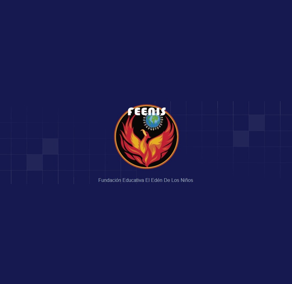 FEENIS Audits gallery image