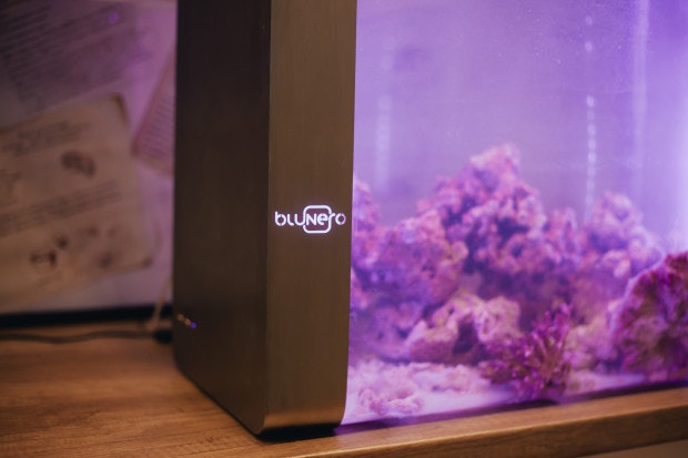 Bluenero gallery image