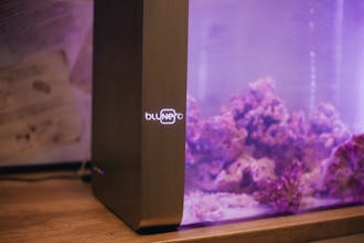 Bluenero gallery image