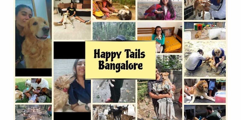 Happy Tails Bangalore  media 1