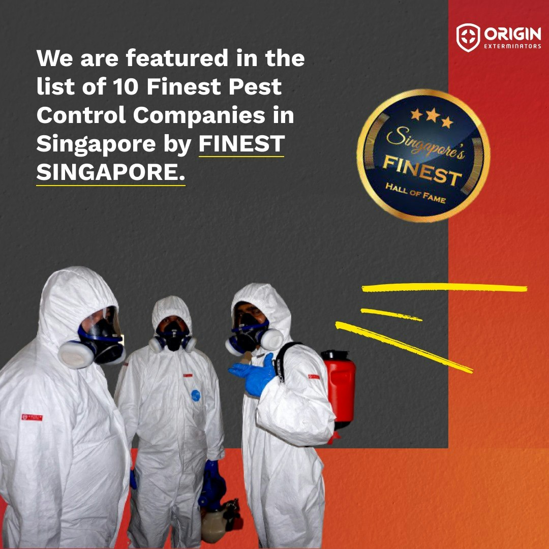 Pest Control Services Singapore gallery image