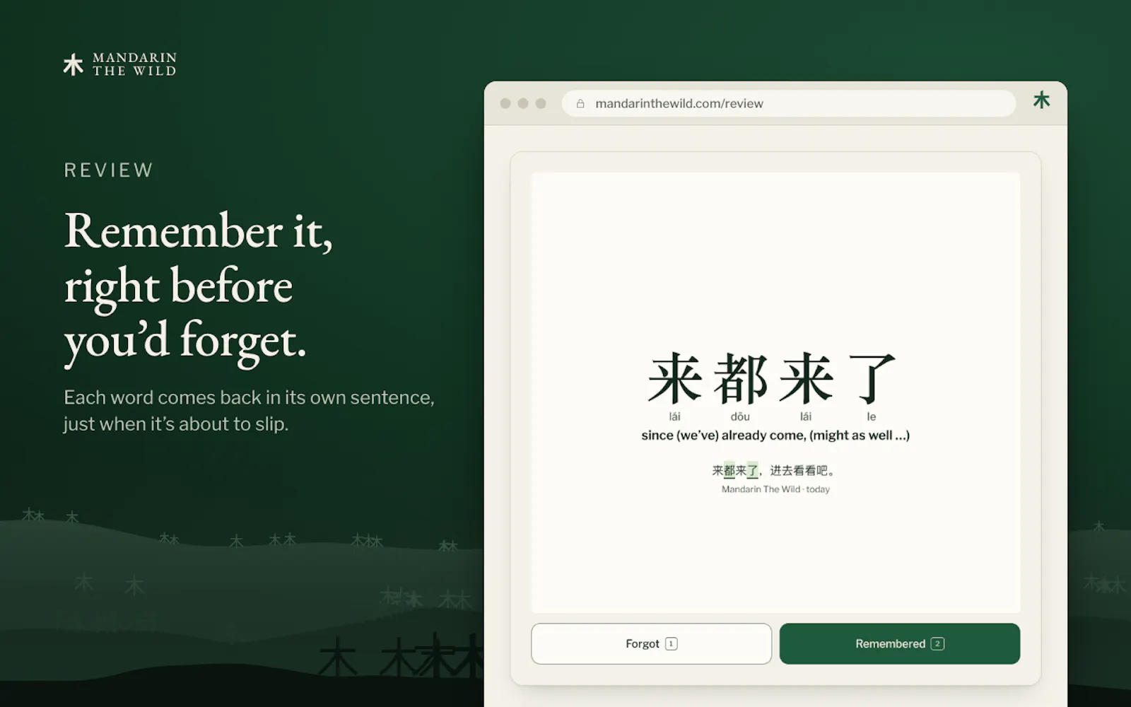 Mandarin The Wild screenshot 7