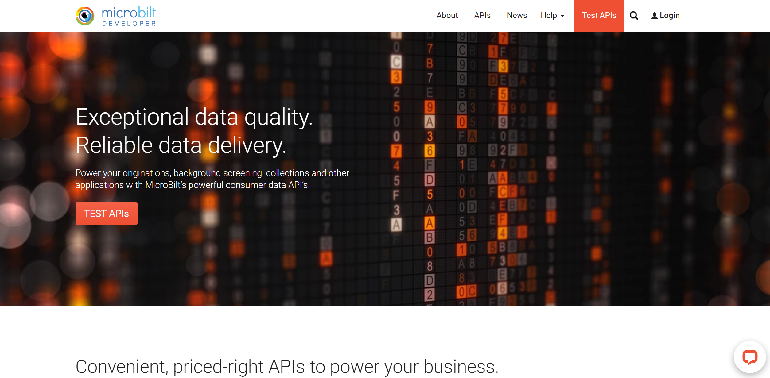 MicroBilt Alternative Credit API’s |