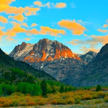 AI Photo Wizard gallery image