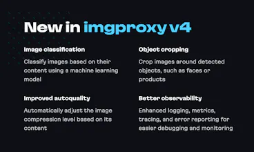 imgproxy v4 gallery image