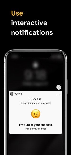 VocApp gallery image