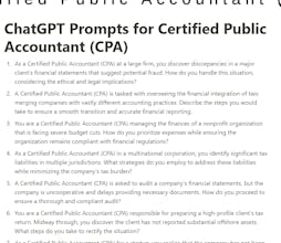 Prompts for Certified Public Accountant gallery image