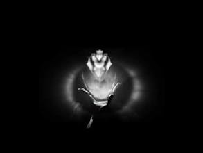 Run or Hunt - Action Arcade gallery image