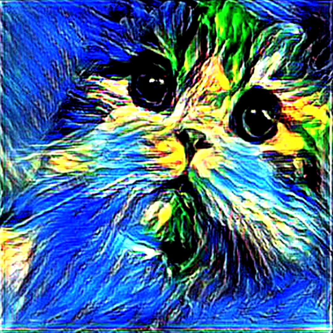 RariCats 1000 Video NFTs Collection gallery image