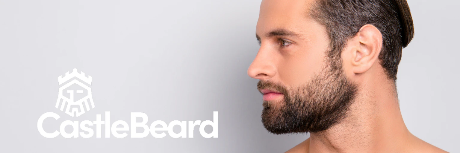 CastleBeard cover