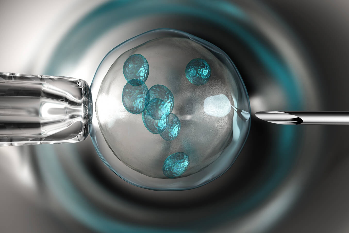 GynaeMD Infertility