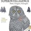 Superintelligence: Paths, Dangers, Strategies
