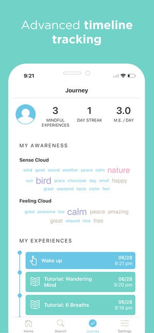 Present Sense gallery image