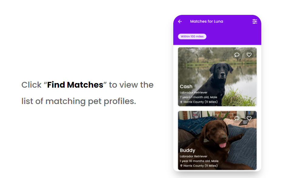 Petmeetly media 5