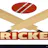 cricket game