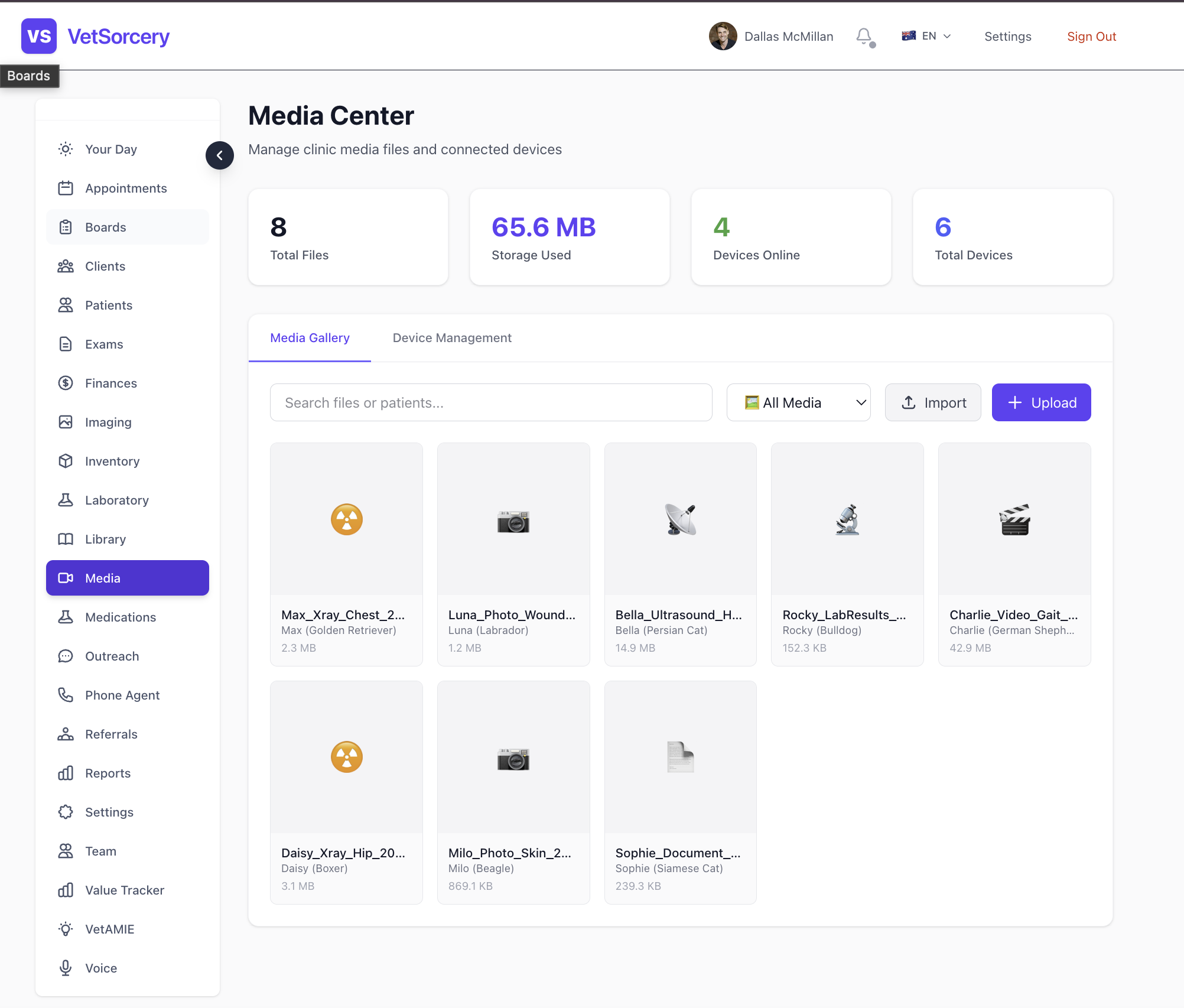 VetSorcery gallery image