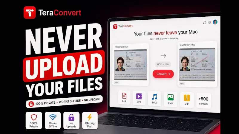 TeraConvert screenshot 1 (video preview)