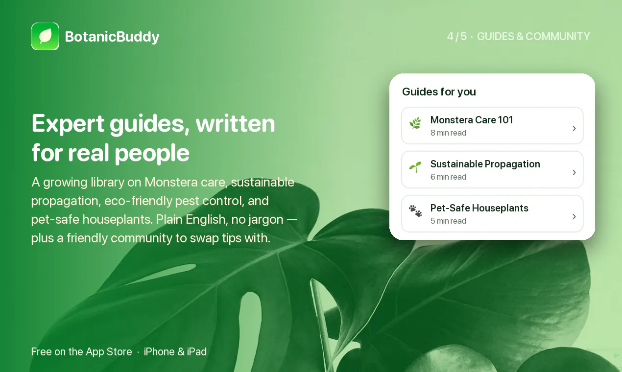 Botanic Buddy - Plant Identification App gallery image