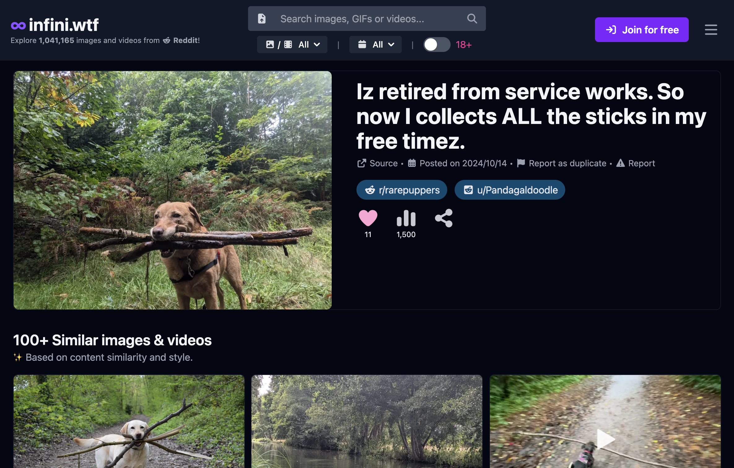 infini.wtf gallery image