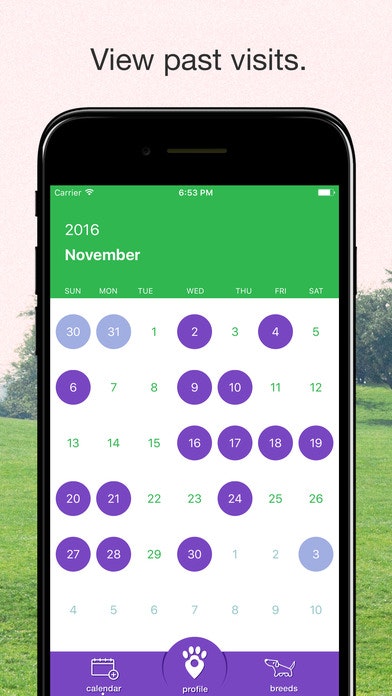 Healthy Paws gallery image