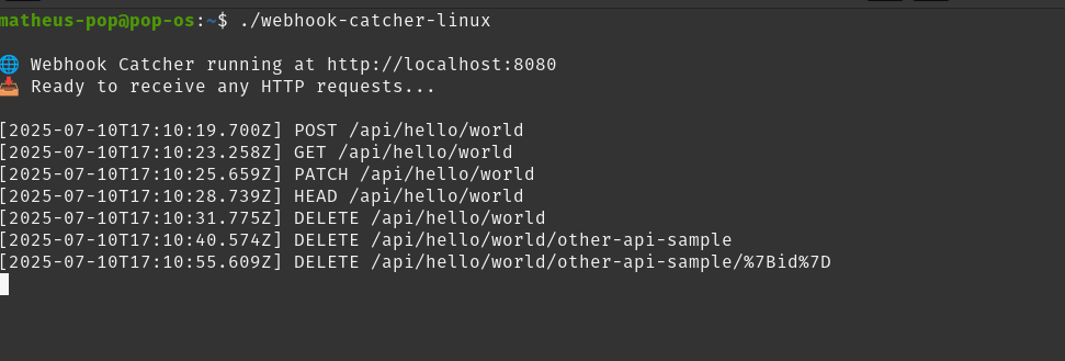Webhook Catcher CLI logo