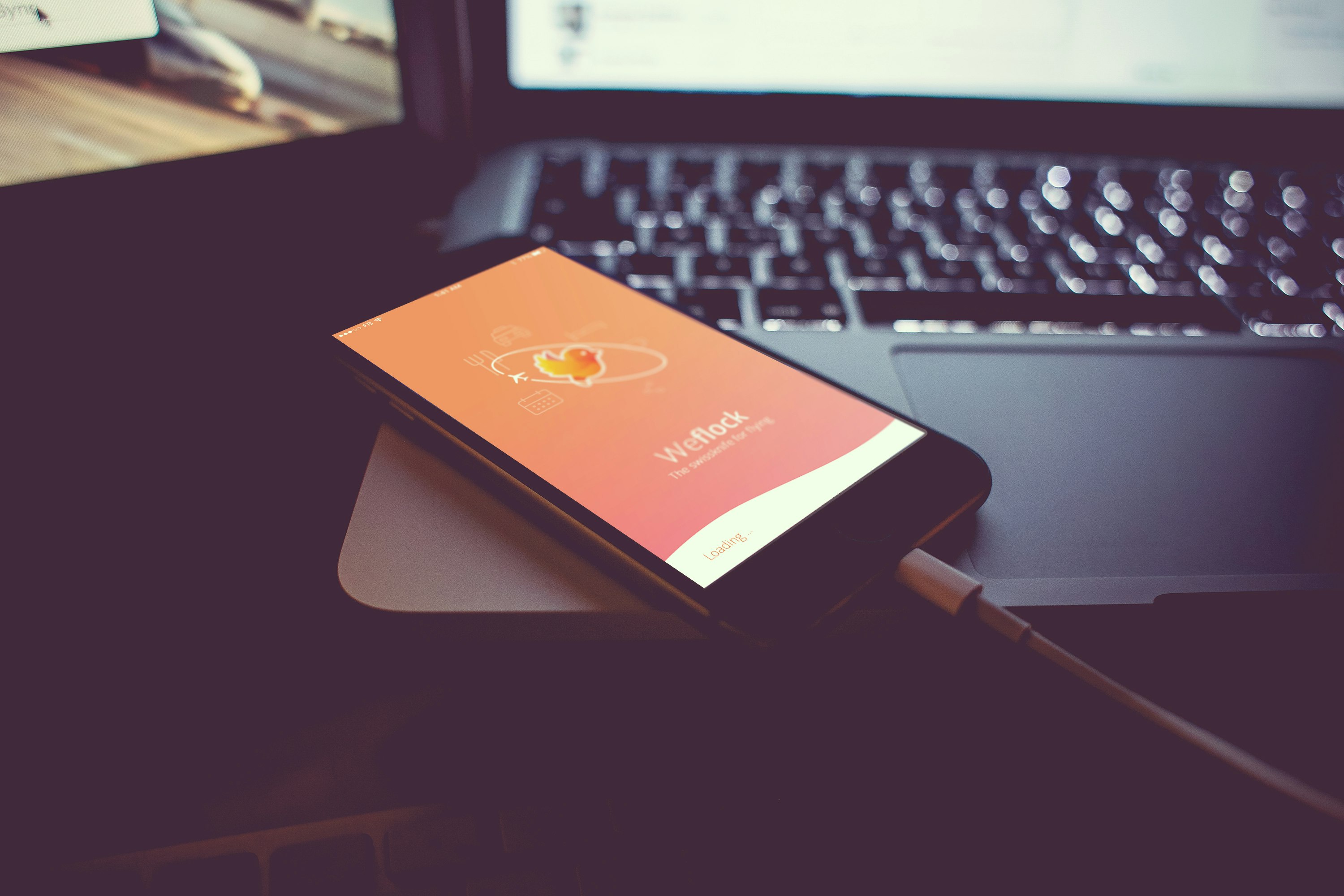 Weflock gallery image